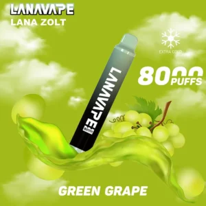 LANA8000 PUFFS 一次性電子煙 台灣現貨 2 LANA
